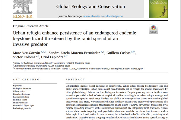 Captura de pantalla 2025-10-22 a las 11.59.55