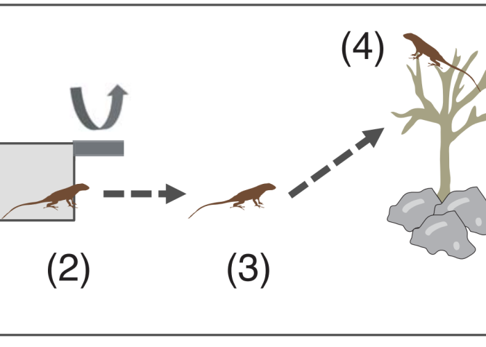 Captura de pantalla 2025-11-05 a las 13.17.40