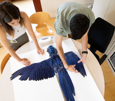 WEB_CREAF_FerranSayol21