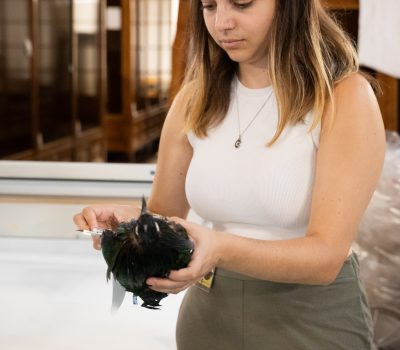 WEB_CREAF_FerranSayol29