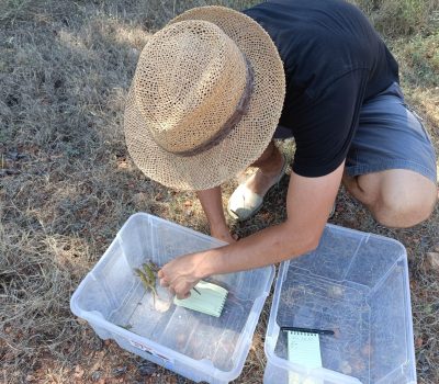 WhatsApp Image 2023-11-02 at 7.12.43 PM